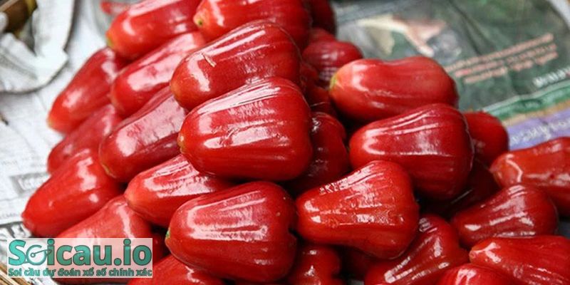 Nếu bạn nằm mơ thấy quả roi thì điều này có ý nghĩa rất lớn về công việc, con đường sự nghiệp của mọi người sẽ được rộng mở