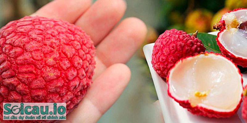 Mỗi giấc mơ đều có ý nghĩa, thông điệp đặc biệt dành cho mọi người