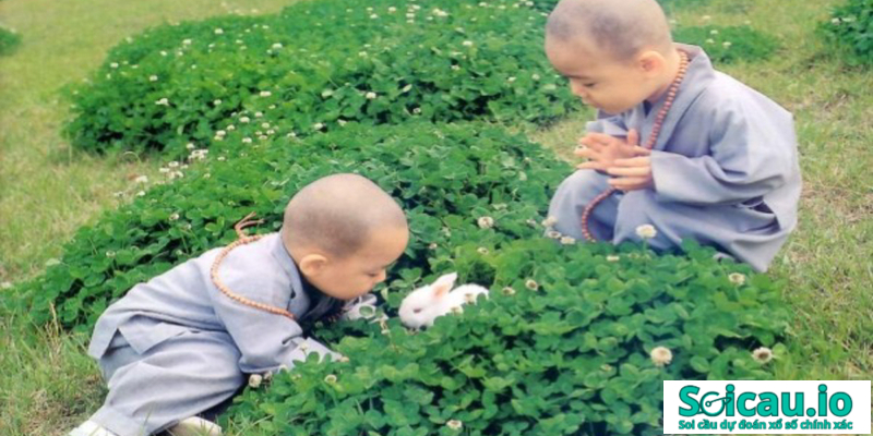 Chiêm bao thấy chú tiểu khóc mang đến điềm báo xấu khổ chủ cần hết sức đề phòng