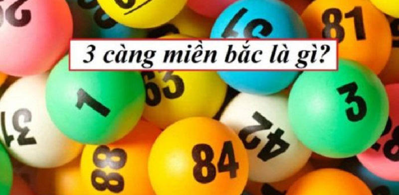 3 càng miền Bắc là gì 3 càng miền Bắc là gì