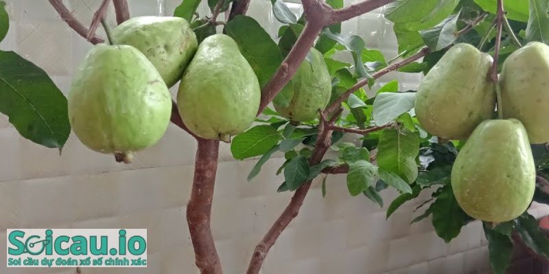 Trong thời gian sắp tới nếu mọi người kiên trì, cố gắng và chăm chỉ thì thành công ắt sẽ đến