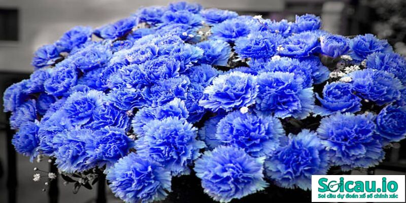 Giấc mơ này còn cho thấy cuộc sống của bạn sẽ có nhiều thuận lợi, nhiều niềm vui