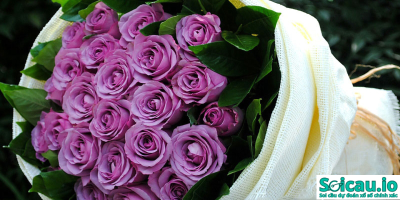 Nếu người bệnh mơ thấy hoa màu tím thì sắp có những tiến triển mới về bệnh tình