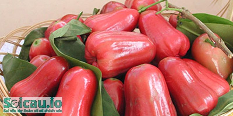Nếu mọi người muốn thành công thì hãy tìm cho mình những người hỗ trợ chất lượng, uy tín