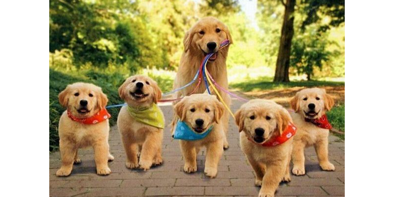 Bạn nên cẩn trọng với các mối quan hệ xung quanh để không bị chơi xấu, hãm hại