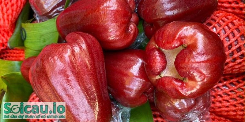 Nằm mơ thấy quạt trần đánh con gì để có khả năng trúng lớn, nổ nháy đều ?