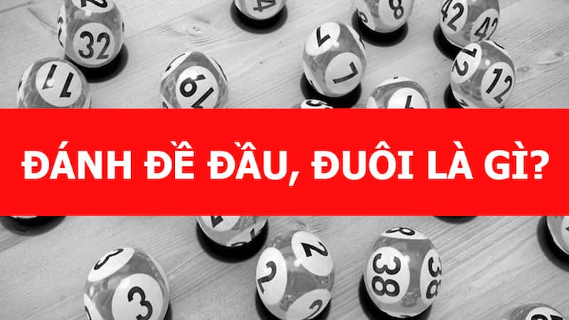 Đề đuôi là gì Đề đuôi là gì