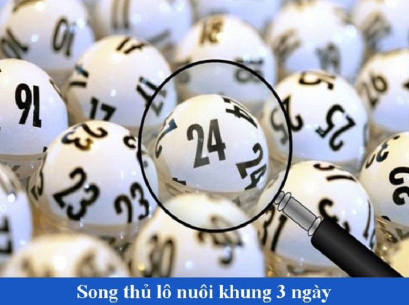 Nuôi lô song thủ khung 3 ngày Nuôi lô song thủ khung 3 ngày