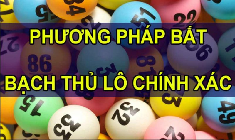 bạch thủ đề là gì bạch thủ đề là gì