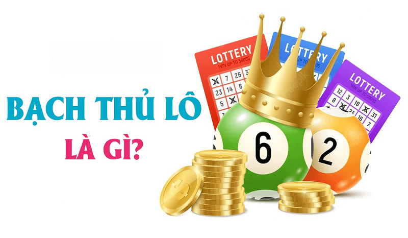bạch thủ lô là gì bạch thủ lô là gì