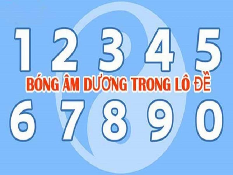 bóng lô đề là gì bóng lô đề là gì