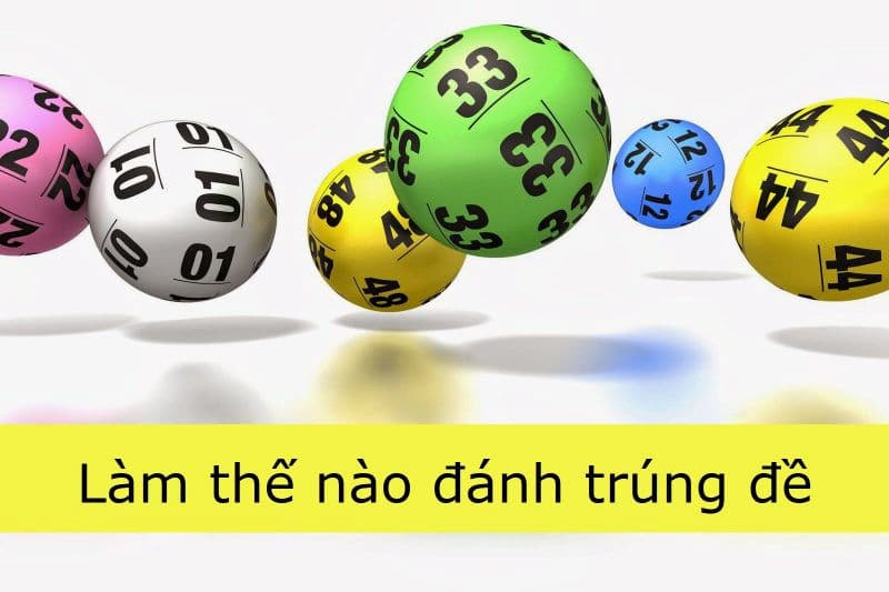 bóng lô đề là gì bóng lô đề là gì