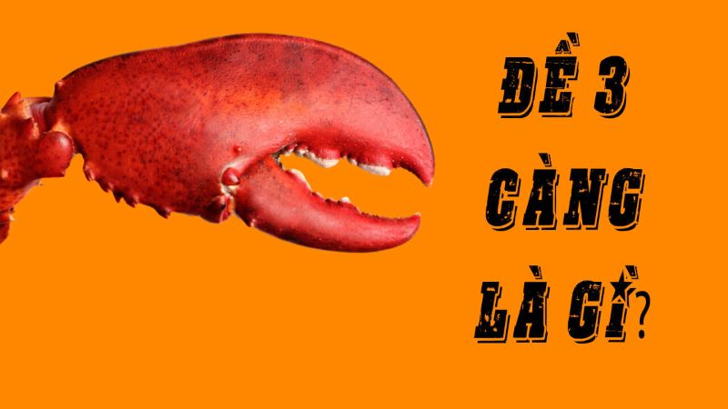lô 3 càng là gì lô 3 càng là gì