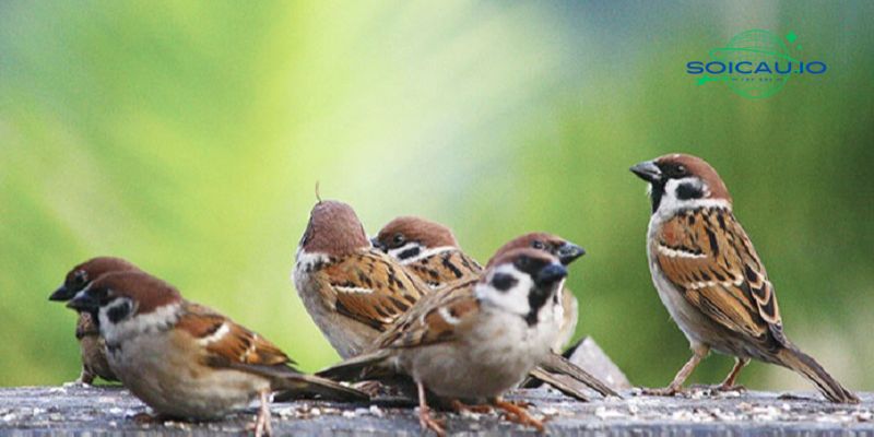 Dấu hiệu để anh em lô thủ có được các con số may mắn