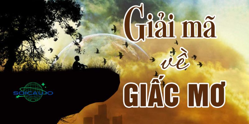 Giải mã về các giấc mơ thấy đánh nhau với người lạ
