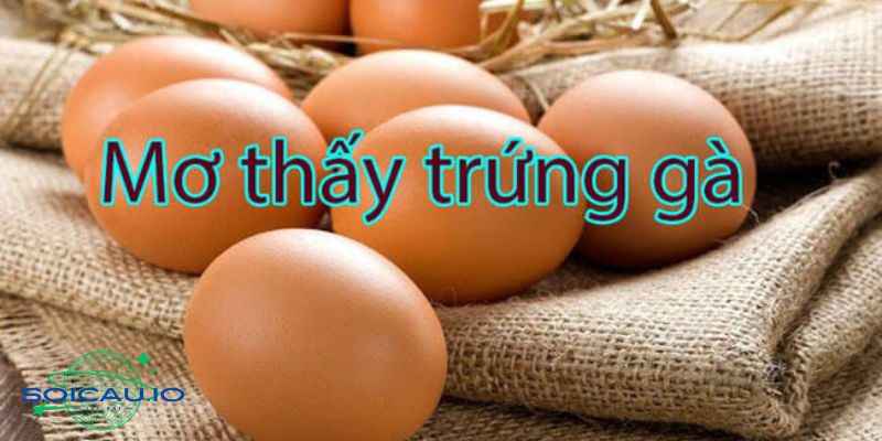 Nằm mơ thấy trứng gà nên đánh con đề nào phù hợp?