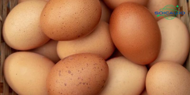 Nằm mơ thấy có rất nhiều quả trứng gà
