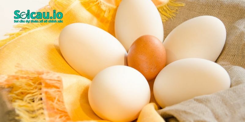 Nằm mơ bắt gặp ngỗng đẻ trứng