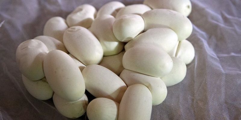 Trứng được coi là biểu tượng của những điều mới mẻ