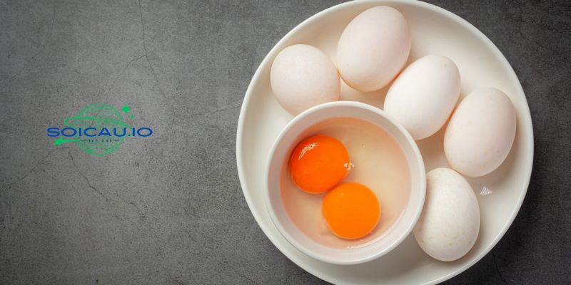 Nằm mơ thấy quả trứng vịt chung chung