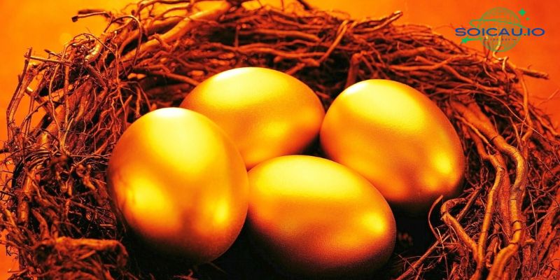 Nằm mơ thấy trứng vịt bằng vàng