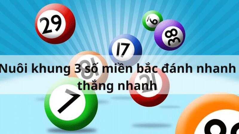 nuôi khung 3 số miền bắc nuôi khung 3 số miền bắc