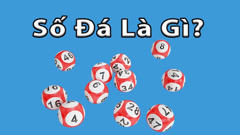 số đá là gì số đá là gì