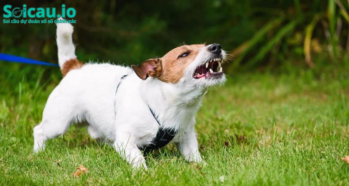 Sự điên dại là điềm báo kém may mắn