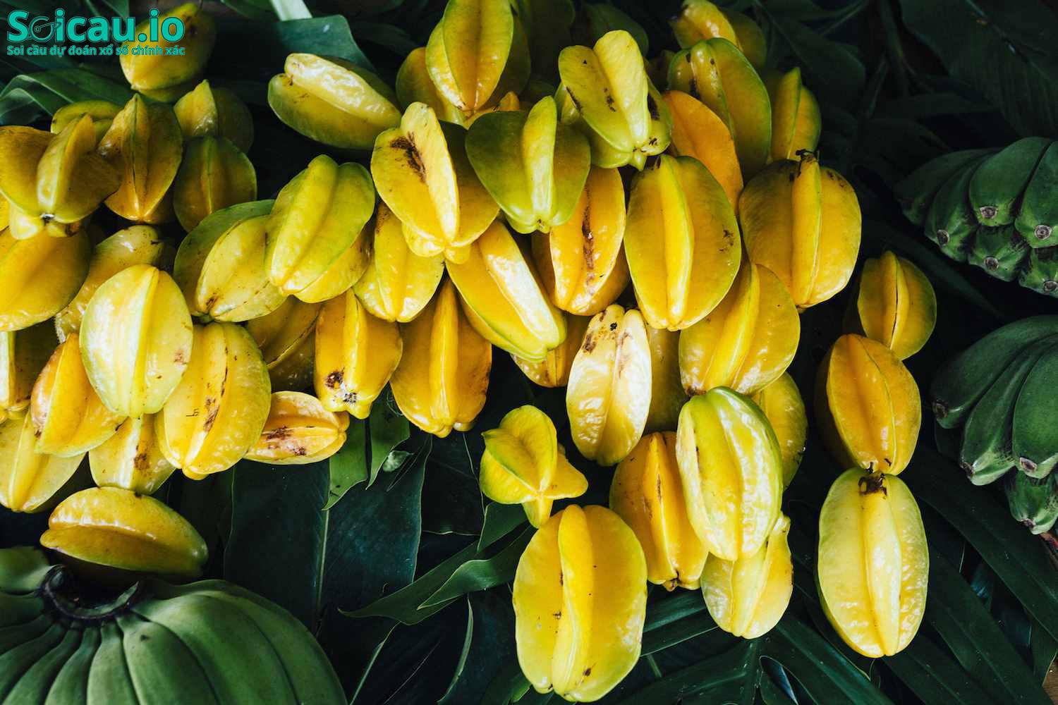 Mơ thấy cây khế nhiều trái mang nhiều may mắn