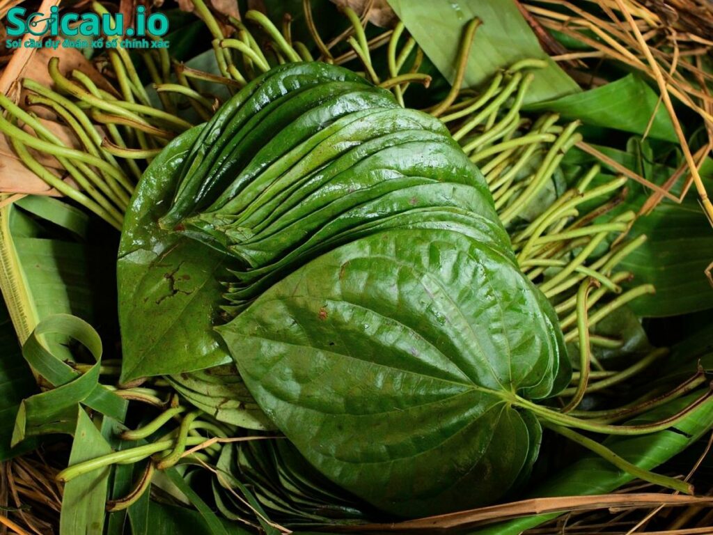 Tìm hái lá trầu báo hiệu sự bất an