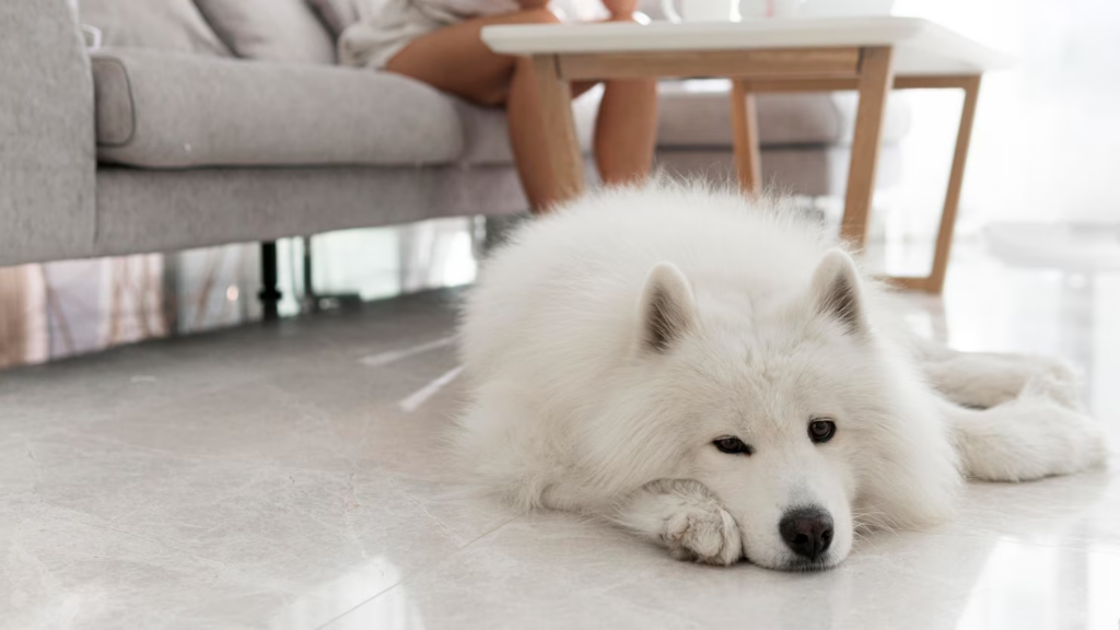 Sự giam cầm báo hiệu tin xấu