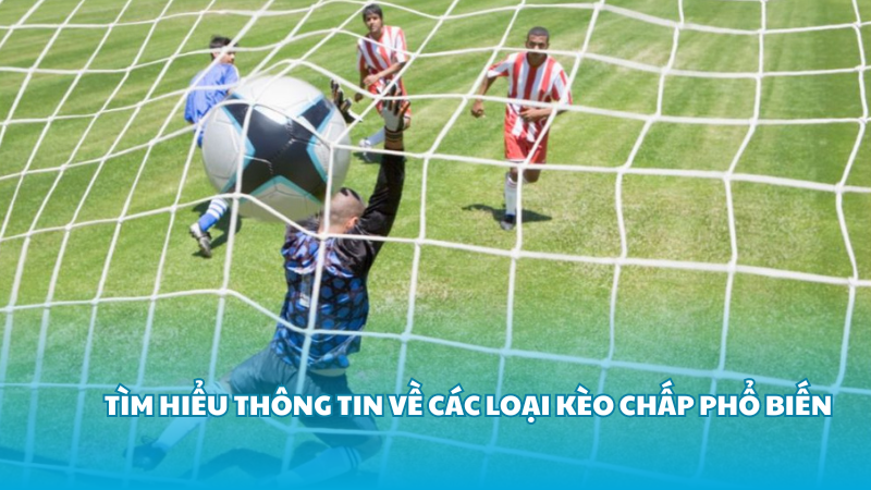Tìm hiểu thông tin về các loại kèo chấp phổ biến